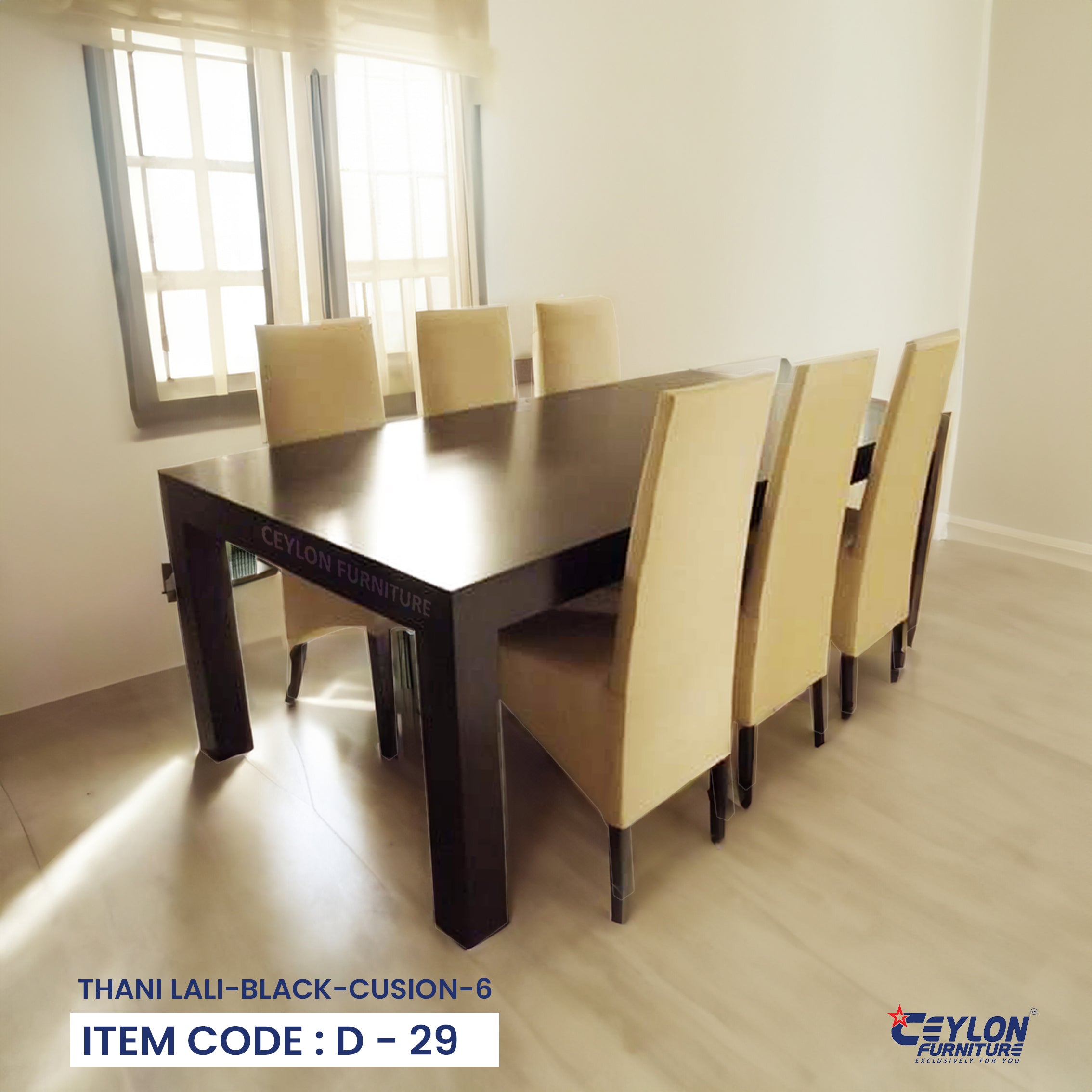 THANI LALI-BLACK-CUSION-6