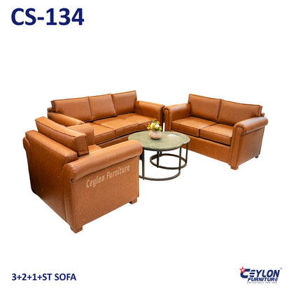 CS-134