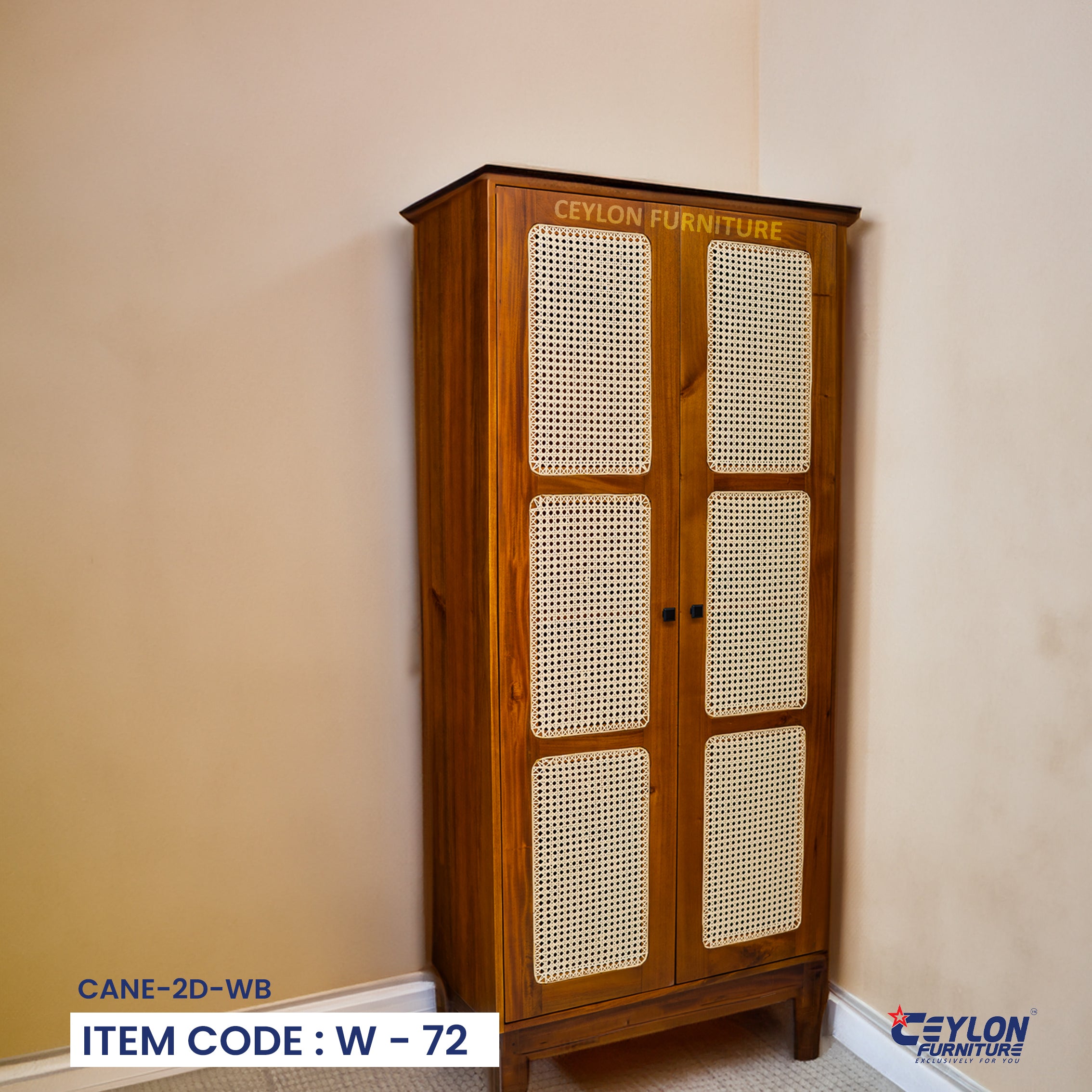 CANE-2D-WB