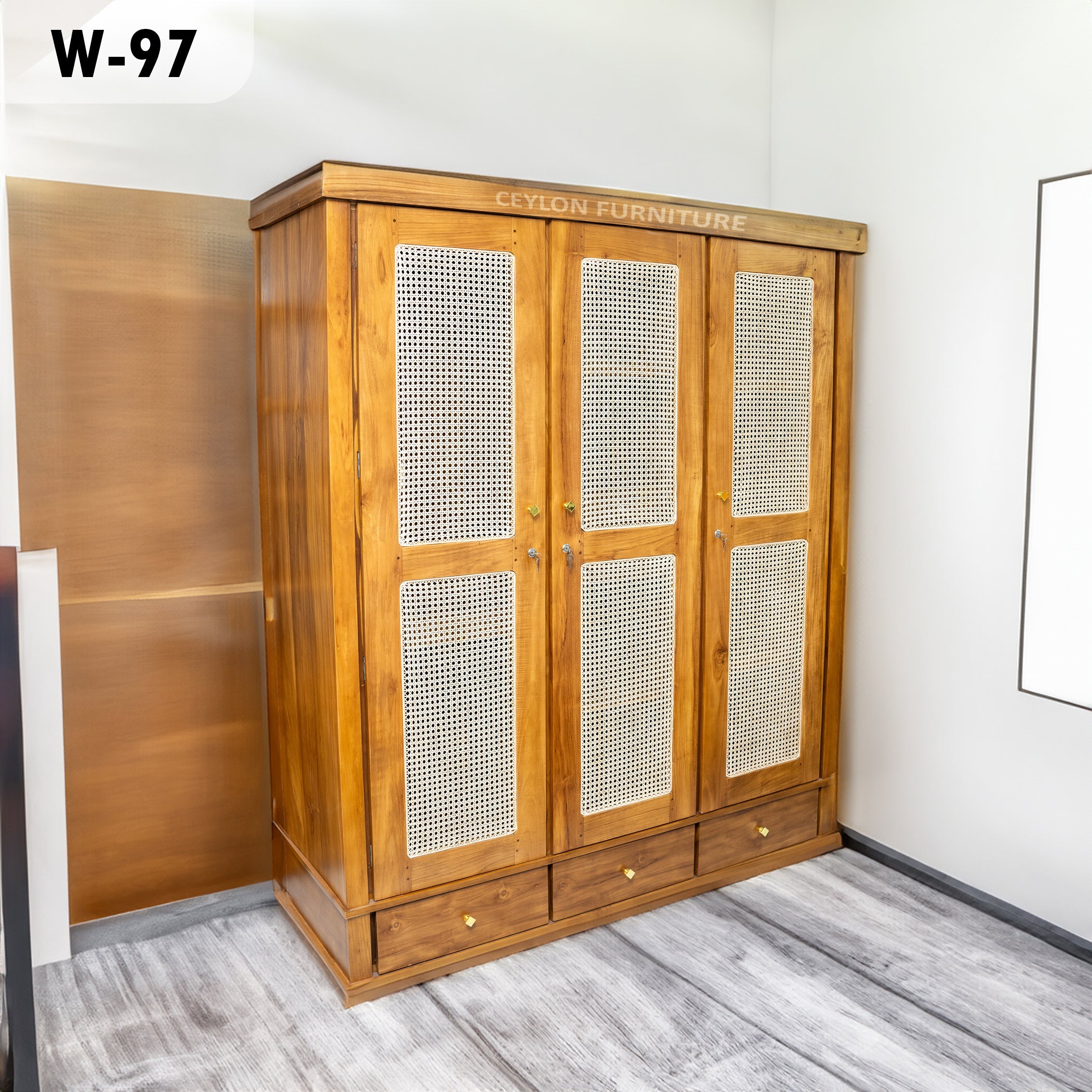 CANE-3D-WB